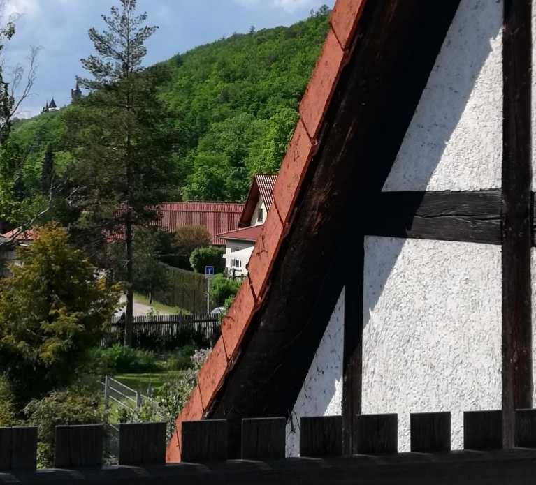 Ferienwohnung Natur Pur Muehlental Вернігероде Екстер'єр фото