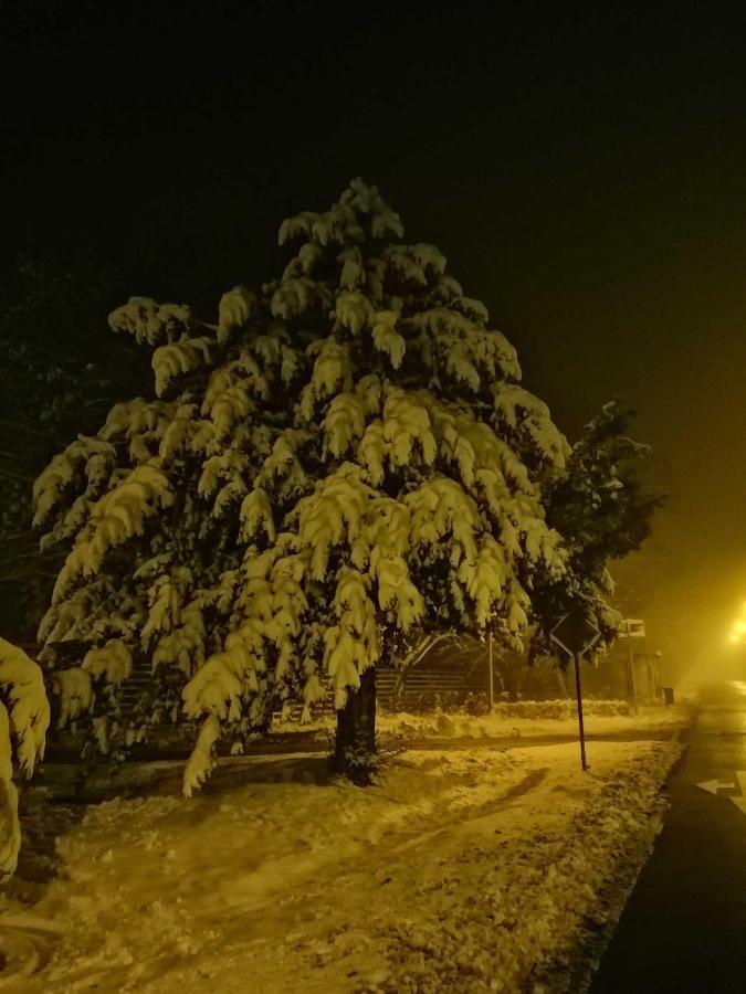 Ferienwohnung Natur Pur Muehlental Вернігероде Екстер'єр фото